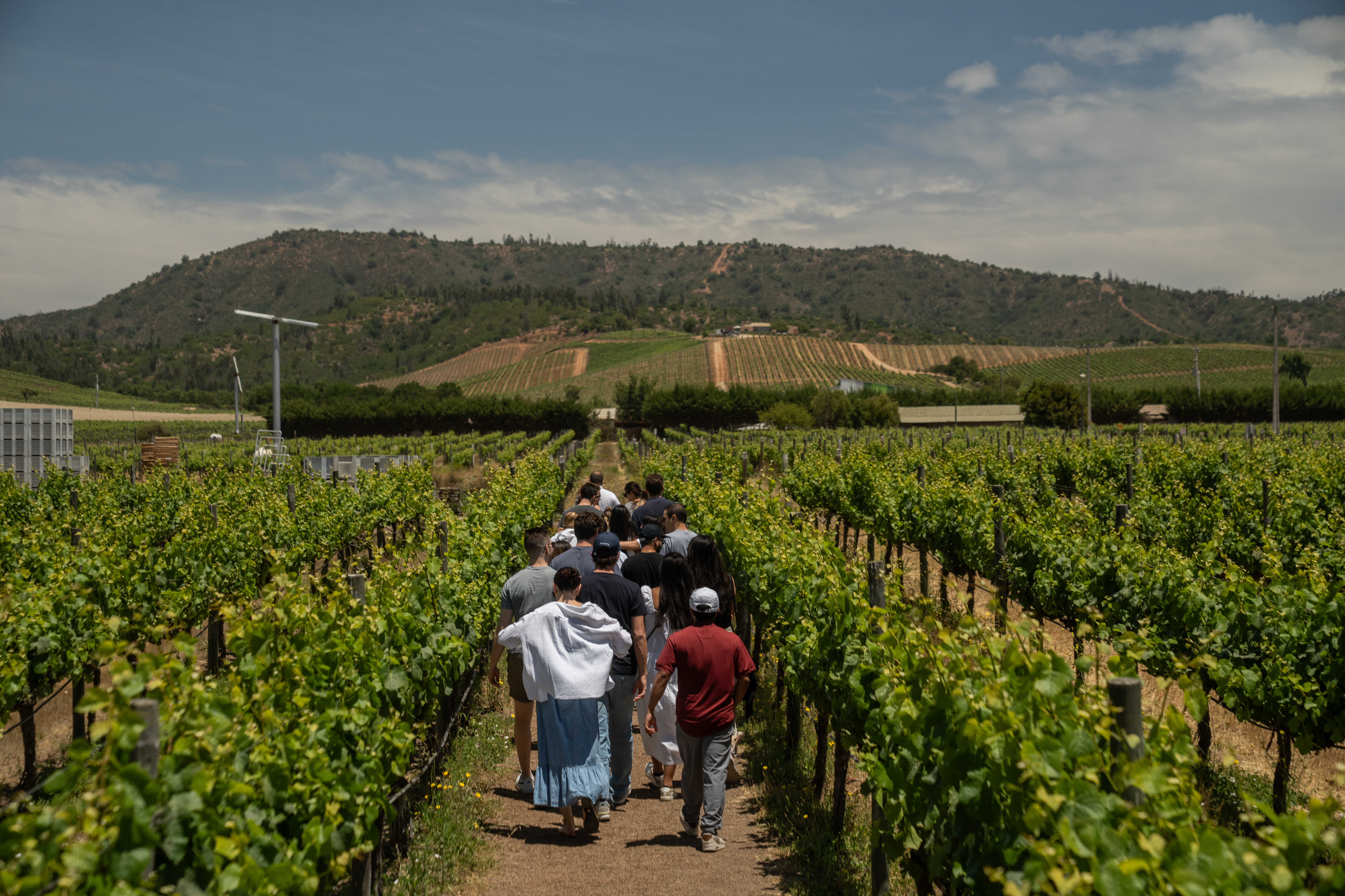 Vineyard trip Chile