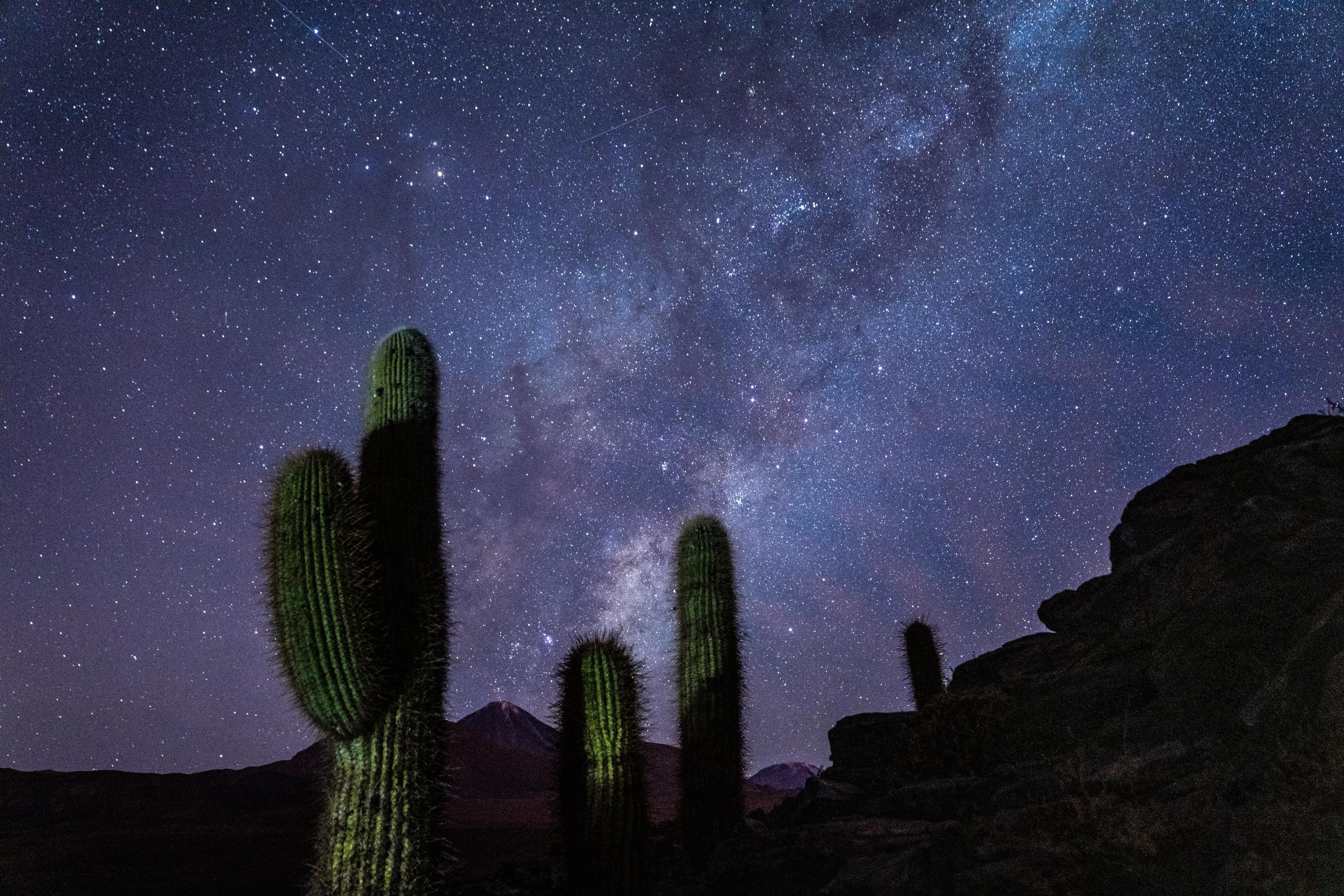 Atacama night experience