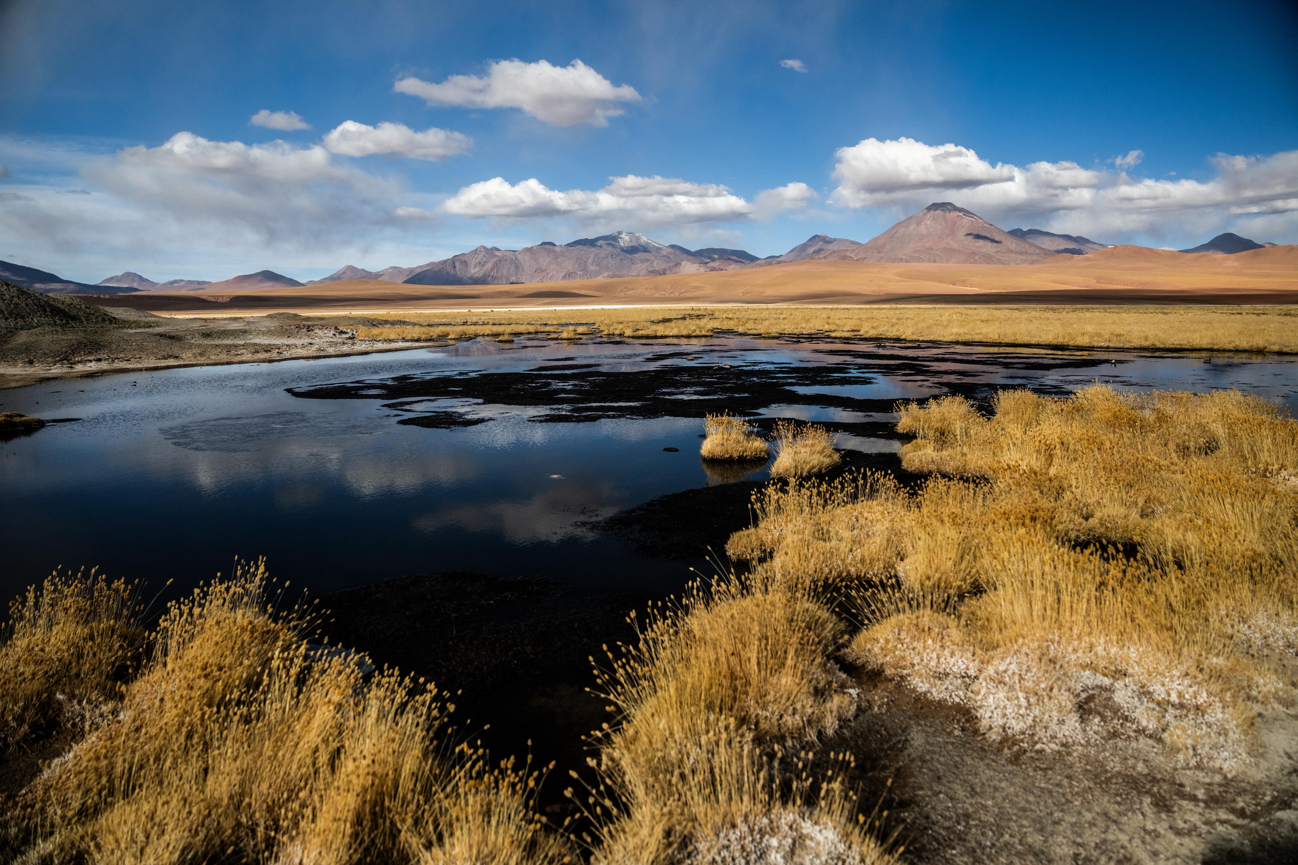 Desert Lagoon Chile